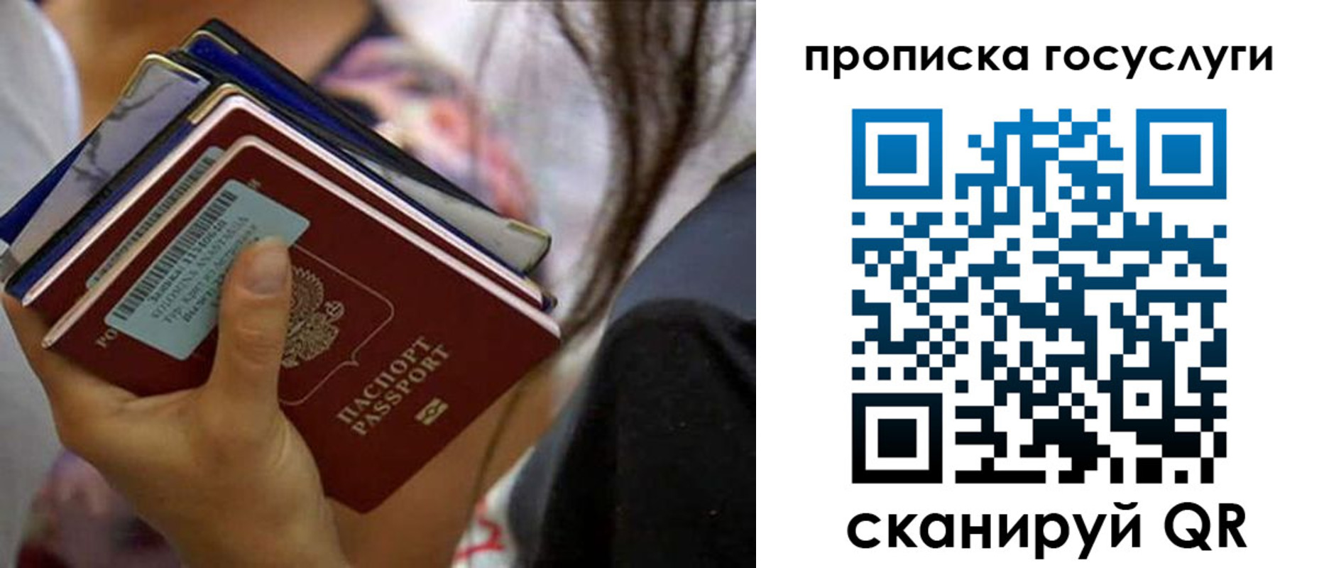 временная регистрация для всех в Мурманской области